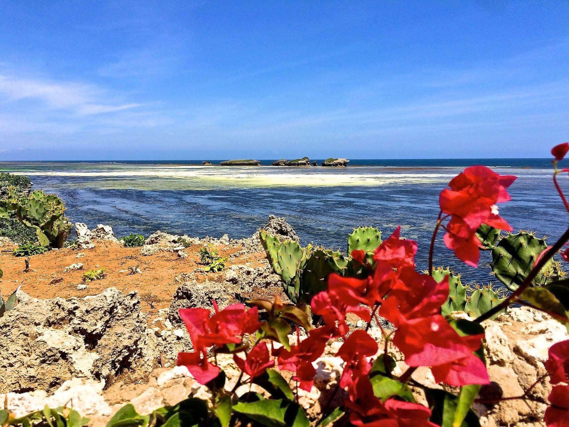 Mawe Resort Watamu Boutique Hotel エクステリア 写真