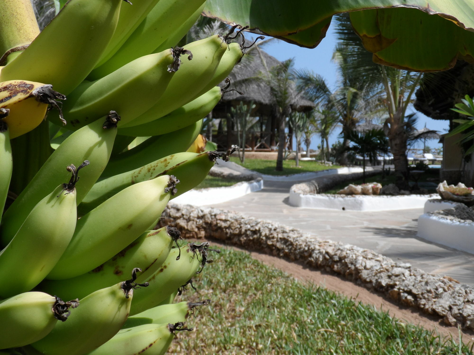 Mawe Resort Watamu Boutique Hotel エクステリア 写真